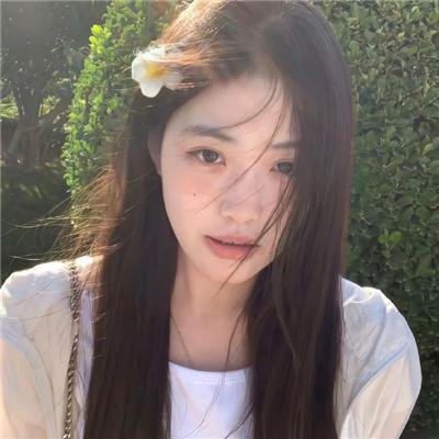 女孩的灵缇犬